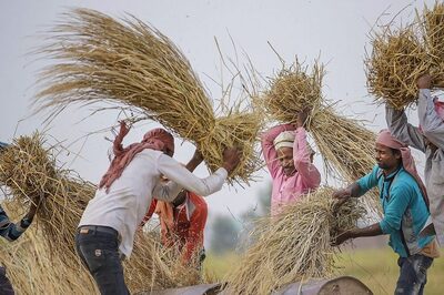 From PM Kisan Samman Nidhi, More MSP to Reduced Export Duty: How 'Kisan Mitra' Modi Revolutionised Agriculture