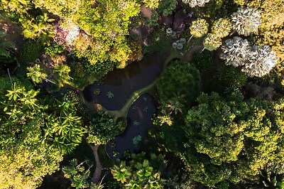 Brazil Landscape Garden Earns UNESCO World Heritage Status