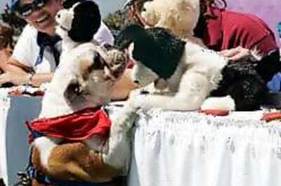 Bring Beckham, Zidane home