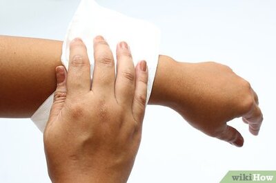 How to Hold a Cat by the Scruff