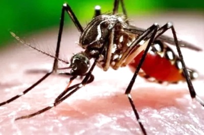 3 Children Die of Dengue in UP Village, Several Others Fall Ill