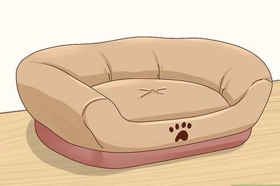 How to Keep Pets off the Furniture