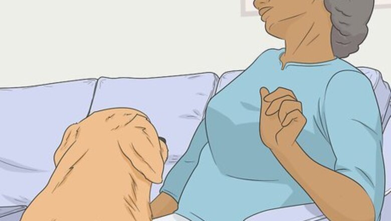 How to Train Seizure Alert Dogs