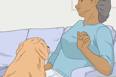 How to Train Seizure Alert Dogs