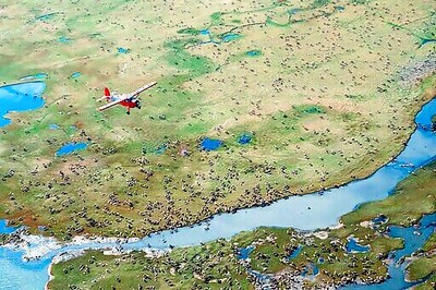 2 Lawsuits Challenge Trump's Drilling Plan In Alaska Refuge