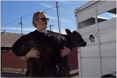 Joaquin Phoenix Rescues Calf and its Mother From Slaughterhouse Days After Oscar Speech, Watch Video