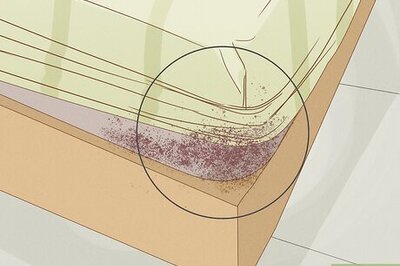 How to Get Rid of Bed Bug Stains