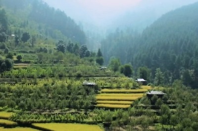 From Plane to Truck, Car, Boat & Finally on Foot, How Covid-19 Vaccine Reached Remotest Parts of India