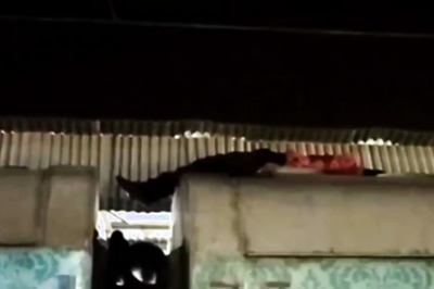 Man Risks Life To Travel On Roof of Express Train Running at 100 Km/h, Arrested | Video