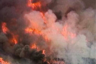 J&K: Forest fire in Dachigam National Park