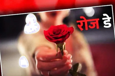 Rose Day 2022: Do You Know the Meaning of Different Colours of Roses?