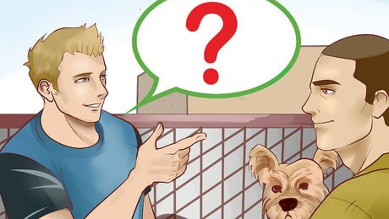 How to Create a Responsible Dog Breeding Program