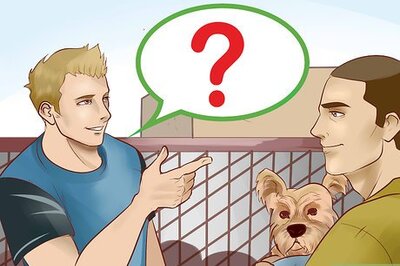 How to Create a Responsible Dog Breeding Program