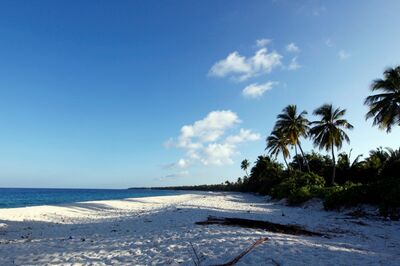 After India, Now Maldives Summons Indian High Commissioner Amid Row Over Anti-PM Modi Posts