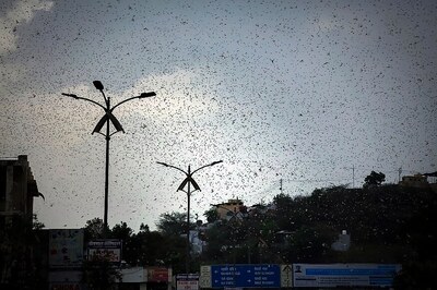 Delhi Govt Organises Awareness Camp to Prevent Probable Desert Locust Attack