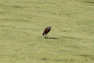 UN climate panel sparks new row on global warming