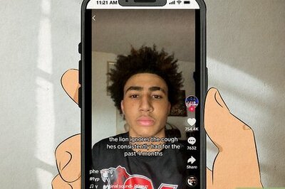 "The Lion Does Not Concern Himself" Meme Explained