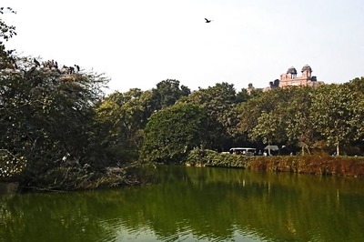 Delhi Zoo To Have A Butterfly Park