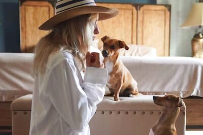 French Couple Fined Rs 1.35 Crore For Keeping 159 Pets Malnourished In Their Apartment