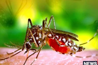 Mosquito Attack Can Lead To These 5 Monsoon Diseases. Take A Look