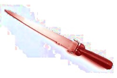 Elderly woman found murdered in Delhi