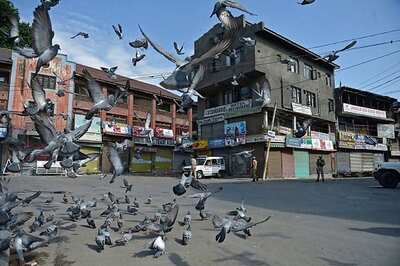 Curfew Lifted From All Parts of Kashmir