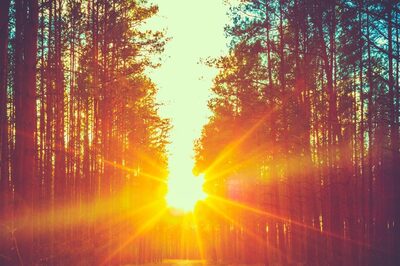 Aaj Ka Panchang, January 7, 2024: Tithi, Vrat, and Today’s Shubh, Ashubh Muhurat