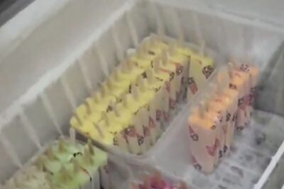 Ice Bay In Kilimanoor: A Must-visit For Ice Cream Lovers Touring Kerala