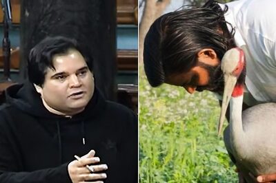 Story of Arif, Sarus Crane Special; They Should Be Reunited: Varun Gandhi
