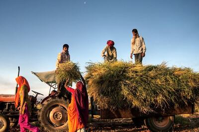 e-Shram Card: Key Features, Benefits, Who can Register and How to Register?