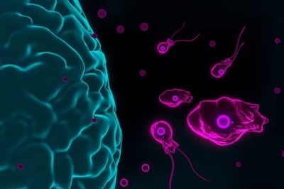 Brain Eating Amoeba Kills Teen in Kerala: Know the Symptoms, Treatment and Prevention