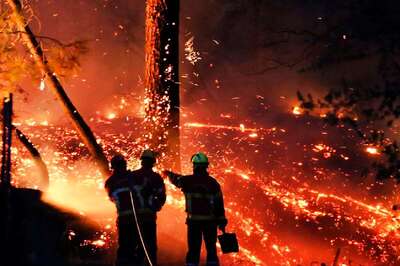 Over 2.56 Lakh Hectare Land in India Affected by Forest Fire in 2019: Govt tells Lok Sabha