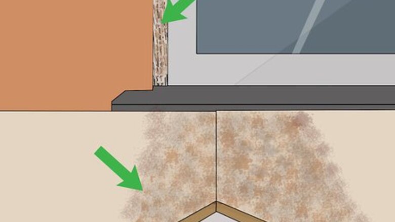 How to Troubleshoot Mold on Interior Walls