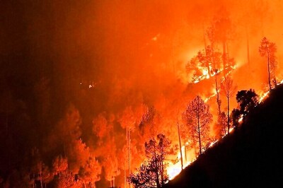NGT Issues Showcause Notice to Uttarakhand, Himachal Over Forest Fire