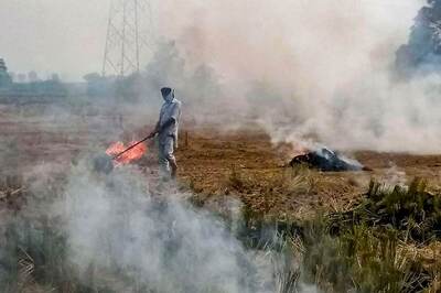 Stubble Burning Share in Delhi's Pollution Soars to 42 Percent, Season's Highest