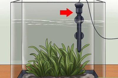 How to Keep a Betta's Water Warm