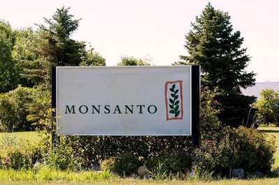 Couple Sues Monsanto for $2 Billion for 'Cancer-causing'  Weed Killer