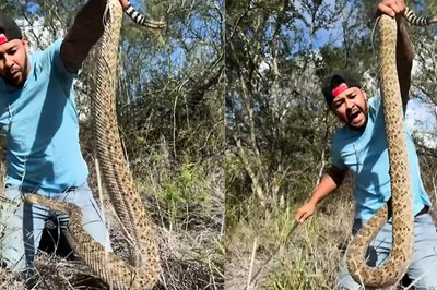 ‘Anxiety x 1000’: Internet Reacts To Man’s Daring Encounter With Giant Rattlesnake