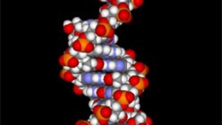 Scientists get DNA clues to cure HIV