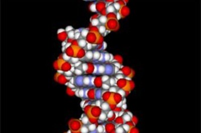 Scientists get DNA clues to cure HIV